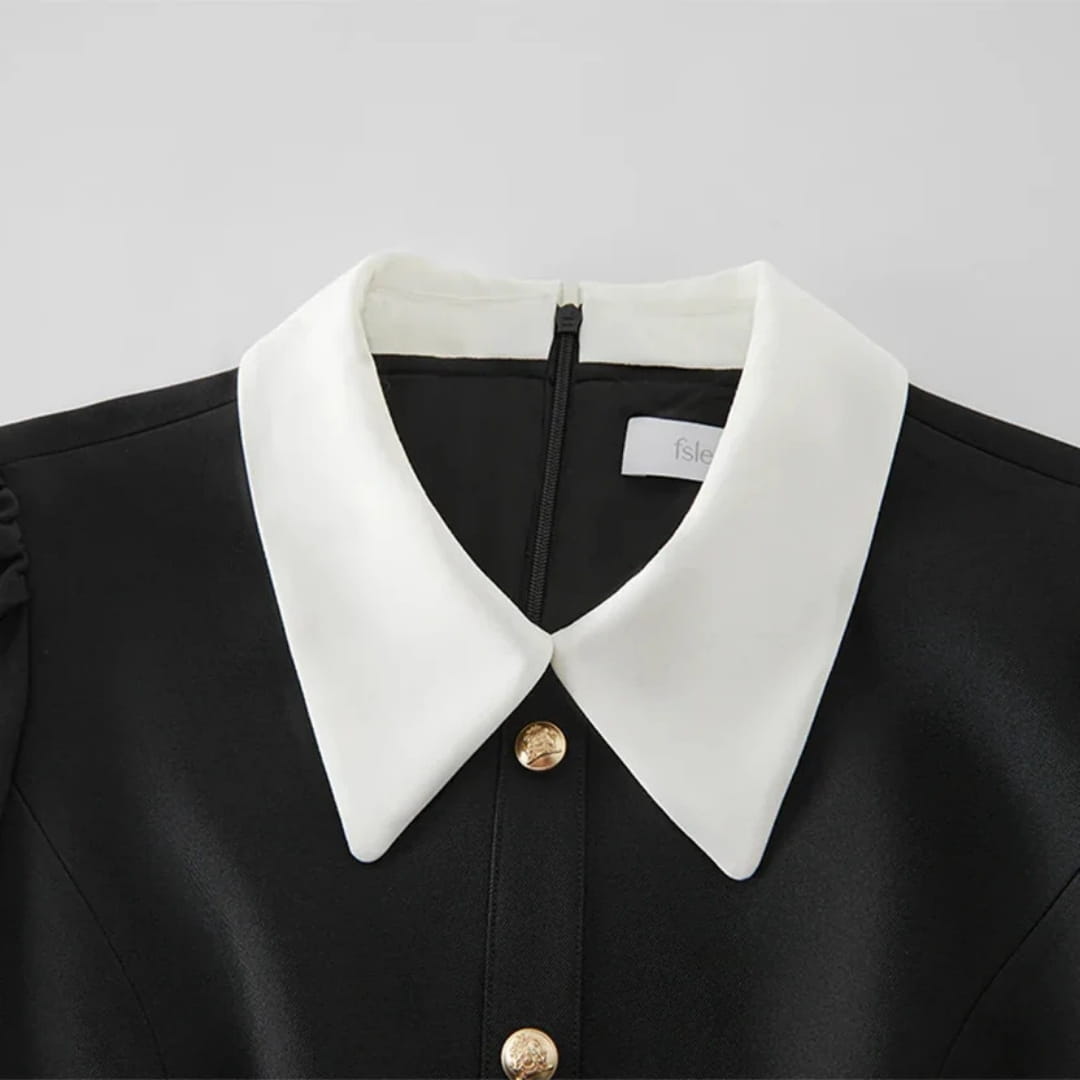 Cristine Button Front A-Line Mini Dress – Structured Collar Shirt Dress