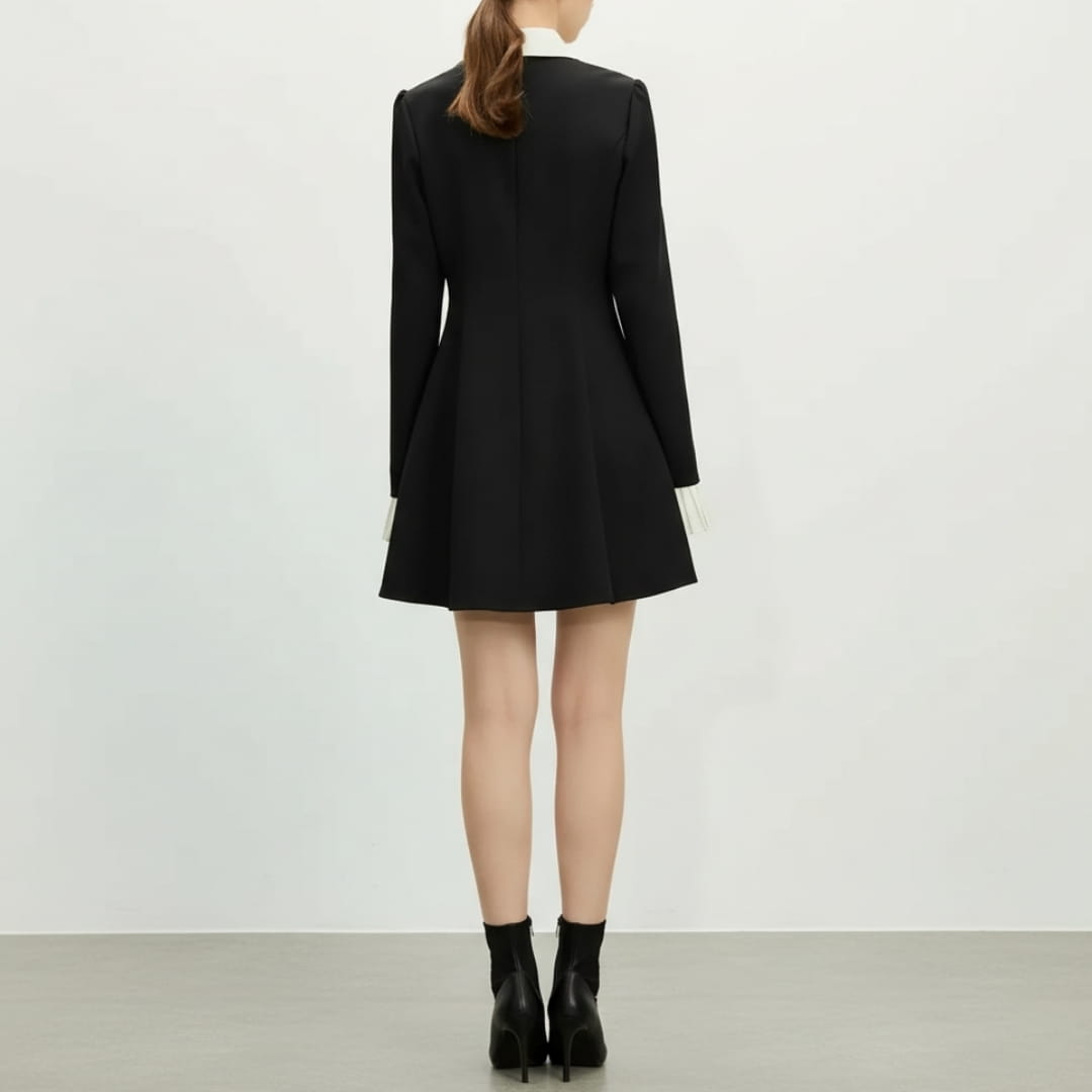Cristine Button Front A-Line Mini Dress – Structured Collar Shirt Dress